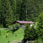 Rossgumpenalm